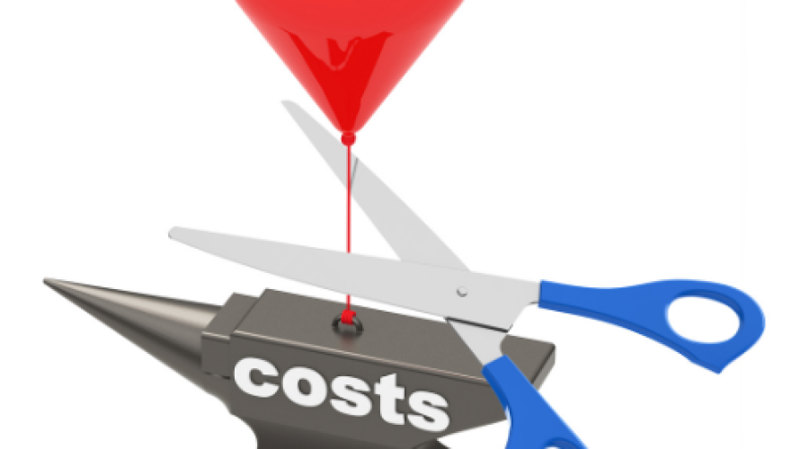 Should I Cut More Costs, or Will That Hurt My Business Further?