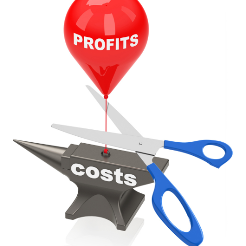 Should I Cut More Costs, or Will That Hurt My Business Further?