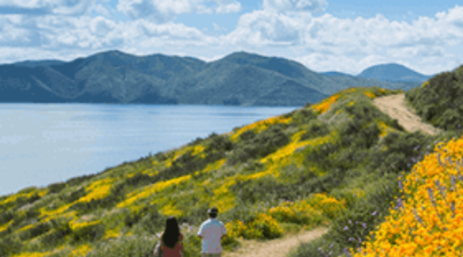 Start Your Hemet Business on a Budget: Profitable Ventures at Diamond Valley Lake