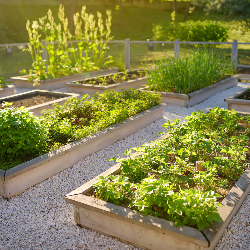 Grow for Good: Create a Hemet Community Garden