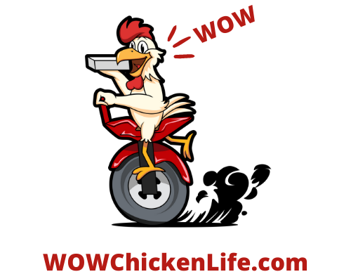 WOW Chicken Life Hemet