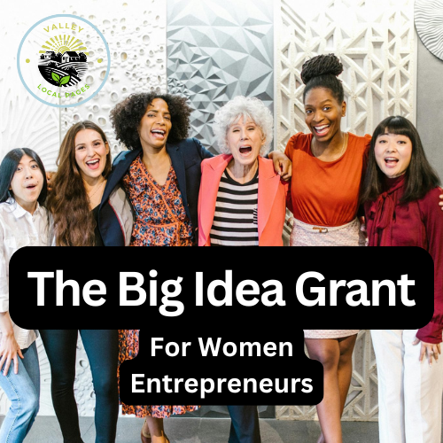 The Big Idea Grant: Free Funding for HSJ Businesses