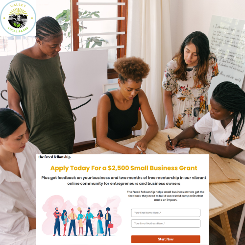 the freed fellowship Small Business Grant: Cash for HSJ Entrepreneurs